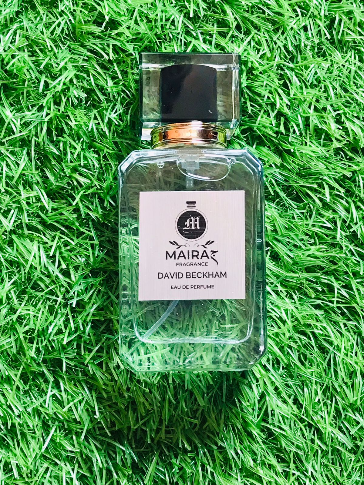 Fresh Main perfumes